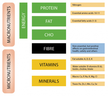 Figure 1. Nutrient classification, according to amount provided in the diet, in dogs and cats.