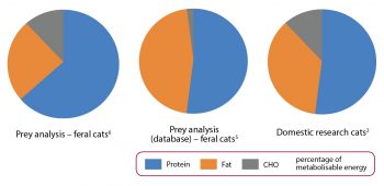 Figure 2. Calorie distribution (percentage of calories from protein, fat and digestible carbohydrates) in the diet of feral cats compared to preference studies.