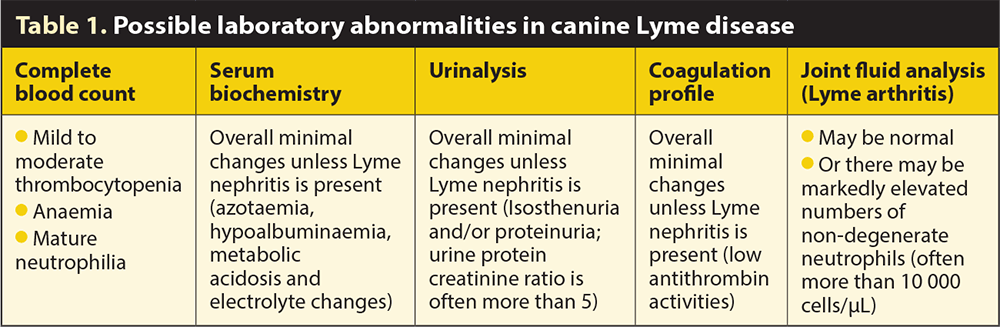 Table 1. Possible laboratory abnormalities in canine Lyme disease.