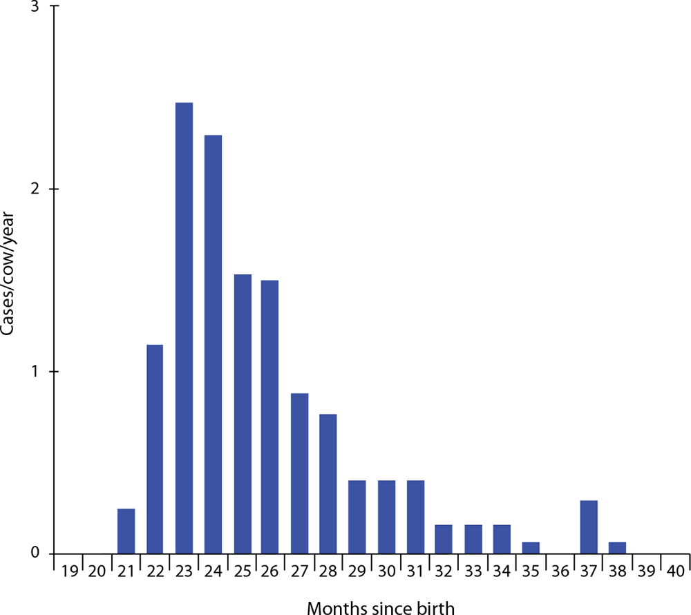 Figure 1a. A graph showing the spread of age at first calving in one herd in Leicestershire, indicating a large variation between heifers within this cohort, which calved over a six-month period. Graph taken from TotalVet.