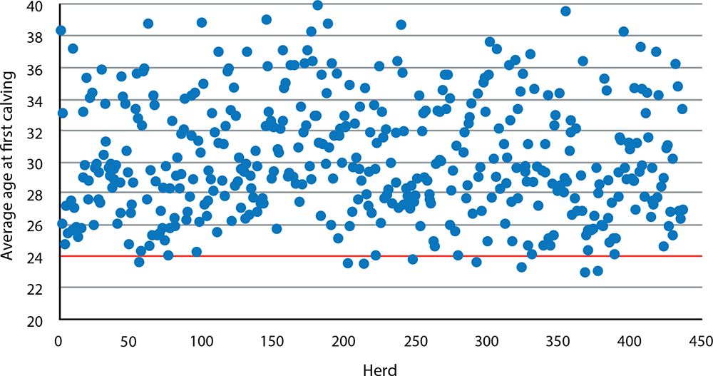 Figure 1b. The average age at first calving at a herd level for 437 British dairy herds in 2008. Each blue dot represents an individual herd and the red line indicates the industry target age at first calving of 24 months. Data taken from Sherwin et al (2016)1.