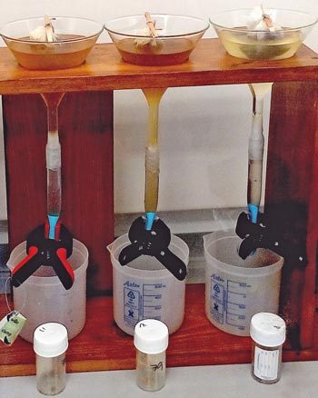 Figure 2. Baermann apparatus used for the isolation of lungworm larvae from the faeces of infected dogs.