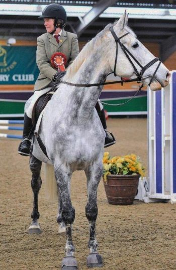 William, a 13-year-old gelding Irish show horse, 18 hands high. He had recurrent colic, was grumpy, wall kicking and had a poor appetite. After being fed fermented wheat germ extract, co-author Rosemary Brown reported: “No more colic episodes, better behaved, better appetite, gained weight and better performance.”