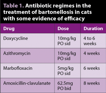 Table 1. Antibiotic regimes in the treatment of bartonellosis in cats with some evidence of efficacy.