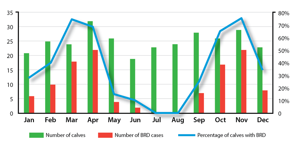 Figure 2. Incidence of on-farm bovine respiratory disease (BRD) in 2016 taken from treatment records. The green bars are the denominator population per month of calves aged 0-8 weeks and the red bars are the number of first treatments. The blue line is the percentage of BRD cases per month. On this farm there appears to be a seasonal trend, with an increasing incidence during spring and autumn. This may relate to an increased stocking density (for example, in block calving herds), differing environmental conditions or under-reporting during the summer months when the farm staff are busy with harvest.