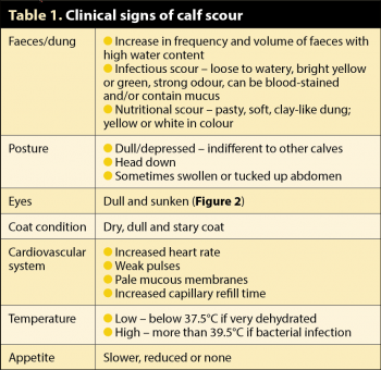 Table 1. Clinical signs of calf scour.