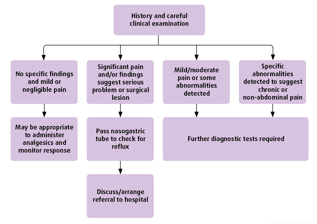 Figure 4. Flow chart to help guide initial decision-making process.