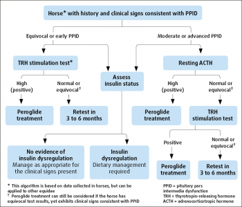 Figure 1. Algorithm for the diagnosis and management of PPID.