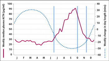 Figure 3. Weekly median adrenocorticotropic hormone (ACTH) concentrations and weekly change in day length throughout the year. The vertical lines represent key time points denoting the commencement of the increase in plasma ACTH, the commencement of the decrease and the re-establishment of stable (lower) plasma ACTH concentrations10.