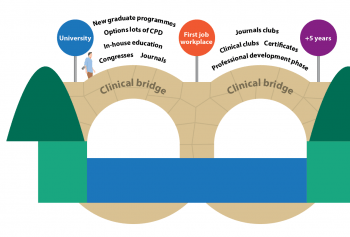 Figure 1. A “clinical bridge” showing how vets are mentored from university to year five.