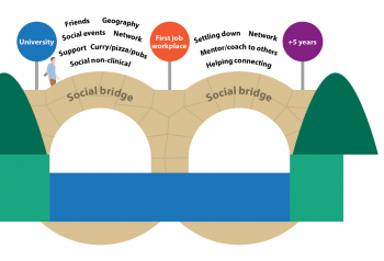 Figure 2. The “social bridge” concept is becoming increasingly popular outside the veterinary sector.