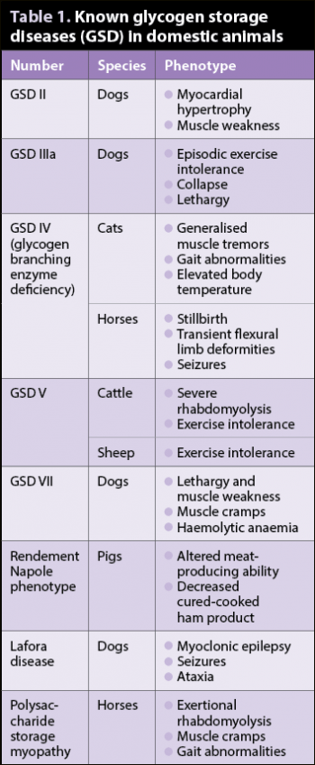 Table 1. Known glycogen storage diseases (GSD) in domestic animals.