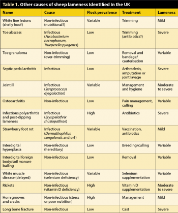Table 1. Other causes of sheep lameness identified in the UK.