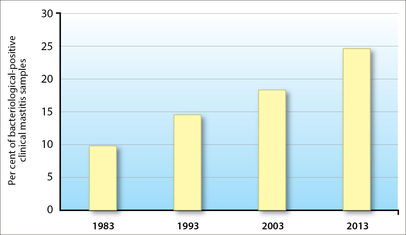 Figure 2. Relative importance of Streptococcus uberis in bacteriologically positive clinical mastitis samples (23 herds in north-west Germany; n = 1,739 cases).