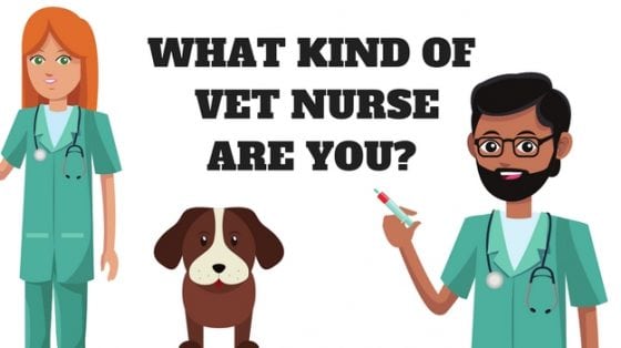 Vet Times Jobs Vet Times Vet Times Jobs Vet Times