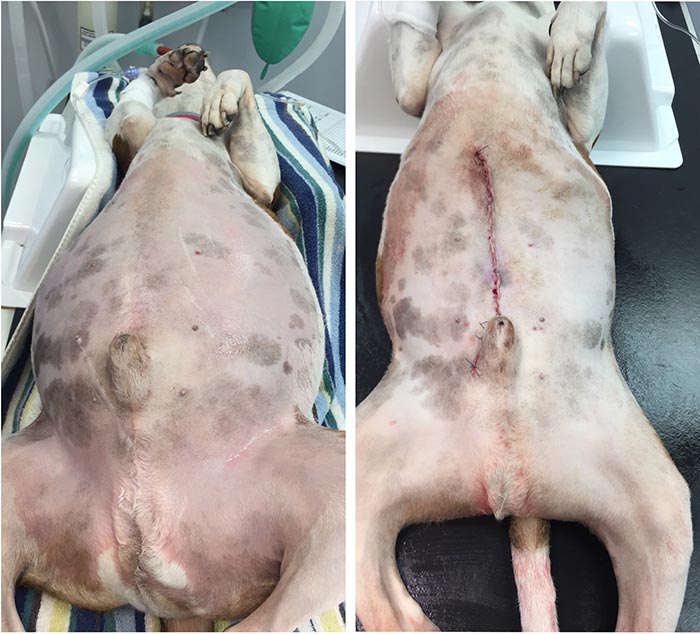 Before and after.
