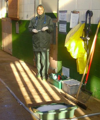 Figure 8. Cases of suspected infectious respiratory disease must be immediately put in strict isolation and the temperatures of in-contacts monitored. Image: XLEquine image archive.