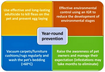 Figure 3. Basics of integrated flea control.