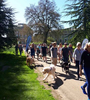 Participants could choose between a 3km or 8km walk at the Suffolk event.