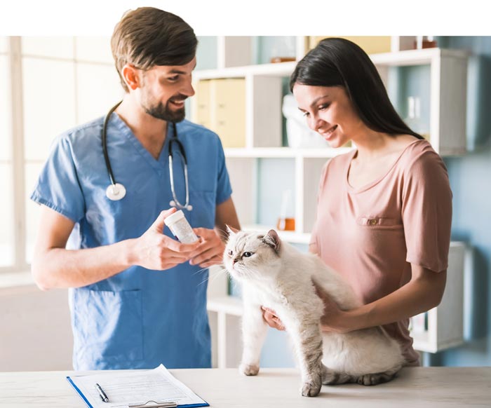 Cat owner with vet/nurse.
