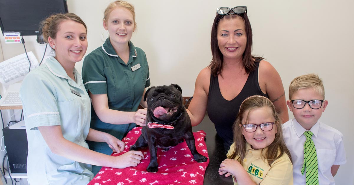 Why Do Dogs Lick The Cement