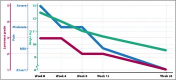 Figure 4. Chart showing the decline in weight, lameness score and pain elicited on joint manipulation.