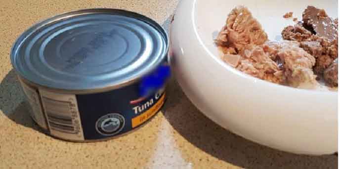 Figure 4. While adding palatable foods to a pet food may help intake, the amount should be limited to 10% or less of the calories to avoid unbalancing the diet.