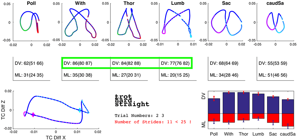 Figure 2a. Inertial measurement unit (IMU) data from horse with no evidence of back pain. Image © Thilo Pfau