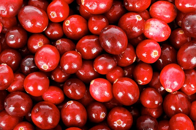 Figure 2. Cranberries may help with the recurrence of urinary tract infections.