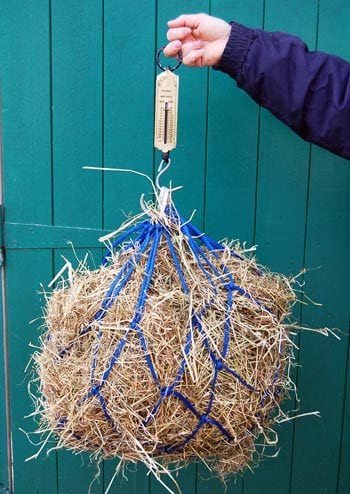 Figure 3. Weighing feed is an essential means of overcoming decision anxiety and ensuring horses are not fed a gradually increasing amount of feed that exceeds the amount required for weight loss.