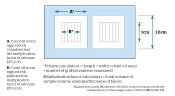 Figure 3. Cartoon of a McMaster slide showing areas in which to count strongyle eggs to increase the sensitivity of the test. 