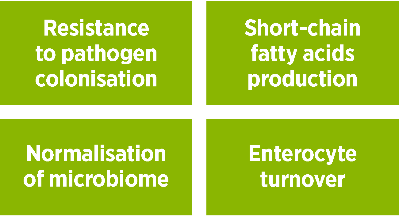 Figure 2. Potential core benefits of probiotics.
