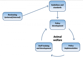 Animal welfare policy and implementation.