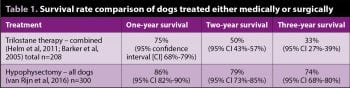 Table 1. Survival rate comparison of dogs treated either medically or surgically.