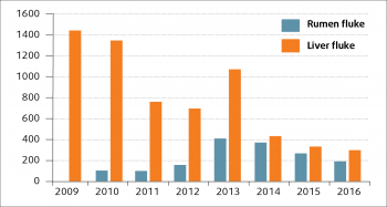 Figure 3. Annual pattern of diagnoses of rumen and liver fluke in cattle from 2009 to 2016 (VIDA, 2016).