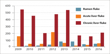 Figure 2. Annual pattern of diagnoses of rumen fluke, acute liver fluke and chronic liver fluke in sheep from 2009 to 2016 (VIDA, 2016)