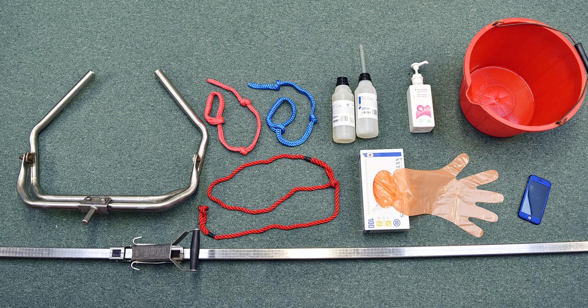Figure 1. A complete calving toolkit: calving aid, nylon obstetrical straps, a head rope, plenty of obstetrical lubrication, long-sleeved disposable gloves, clean buckets, antiseptic and a mobile.