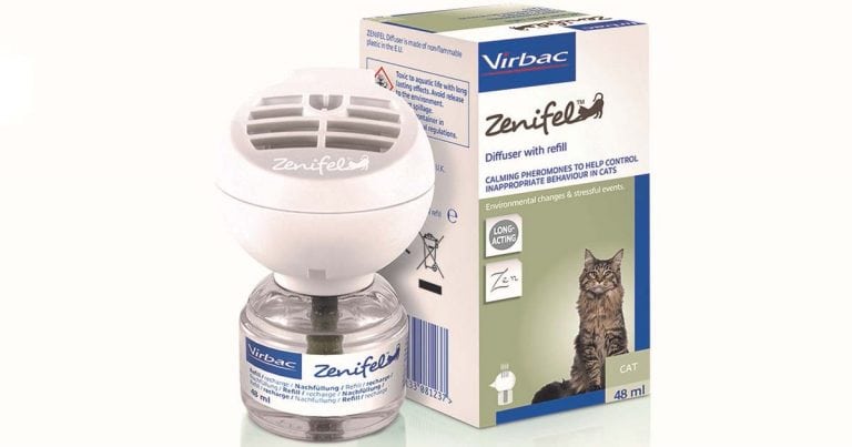 feline plug in pheromone