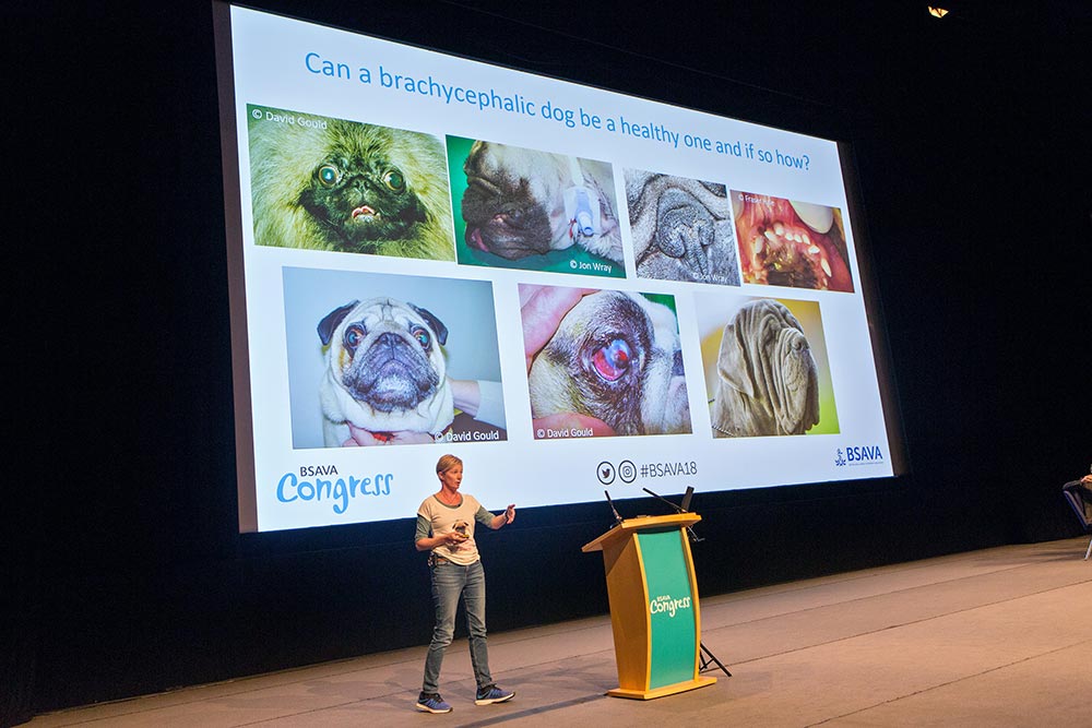 Emma spoke about the Vets Against Brachycephalism campaign at BSAVA Congress. Image © Tracy Howl / BSAVA
