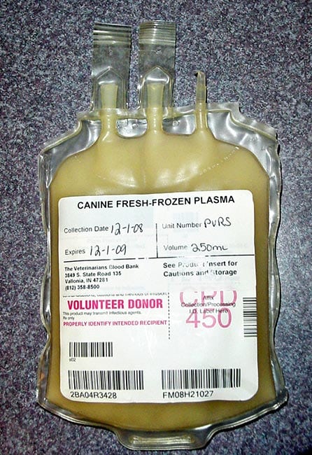 Figure 3. Fresh frozen plasma from a volunteer donor.