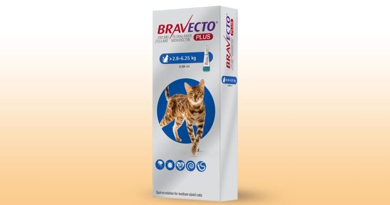 MSD launches Bravecto Plus spoton for cats Vet Times