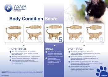 Figures 1 and 2. WSAVA body condition score charts.