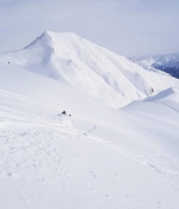 Onno Wieringa disappears in his own rooster tail in pristine powder.