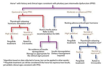 Figure 2. An algorithm for the diagnosis and management of pituitary pars intermedia dysfunction (PPID).