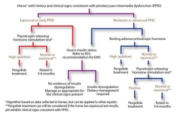 Figure 2. An algorithm for the diagnosis and management of pituitary pars intermedia dysfunction (PPID).