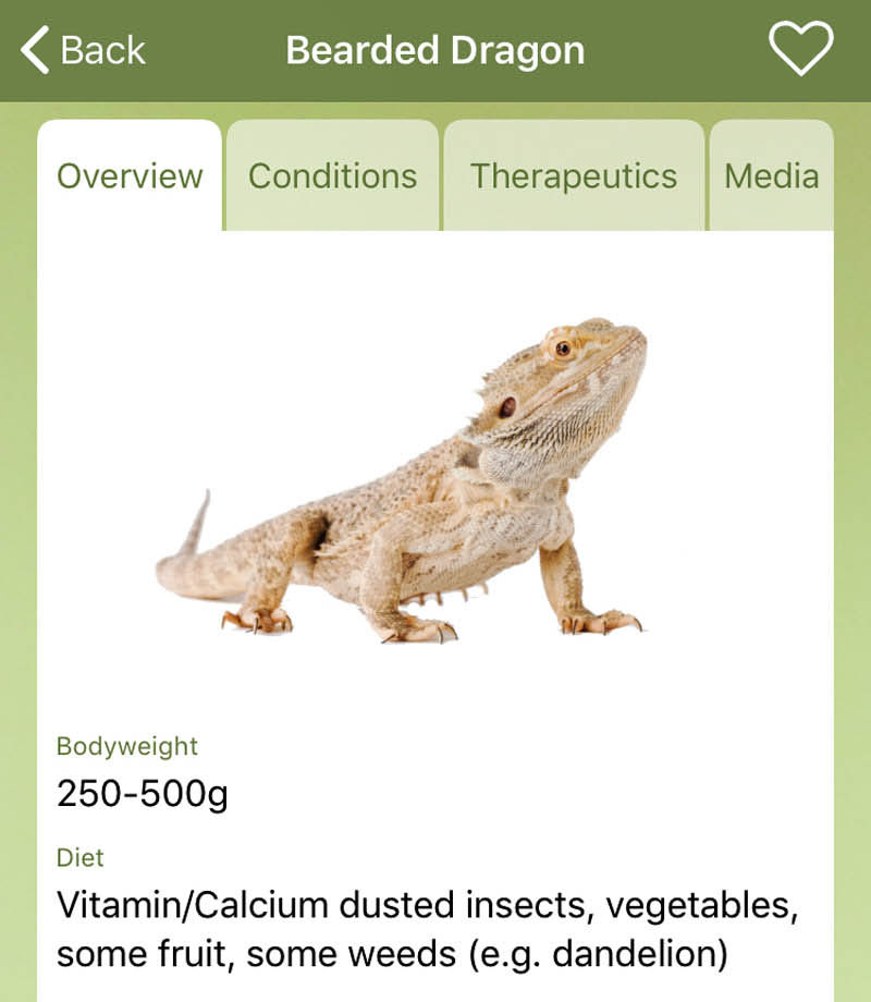 App For Vets Offers Exotic Pet Guidance Vet Times