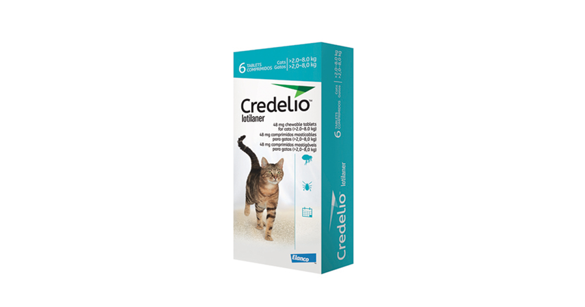 three month flea treatment for cats