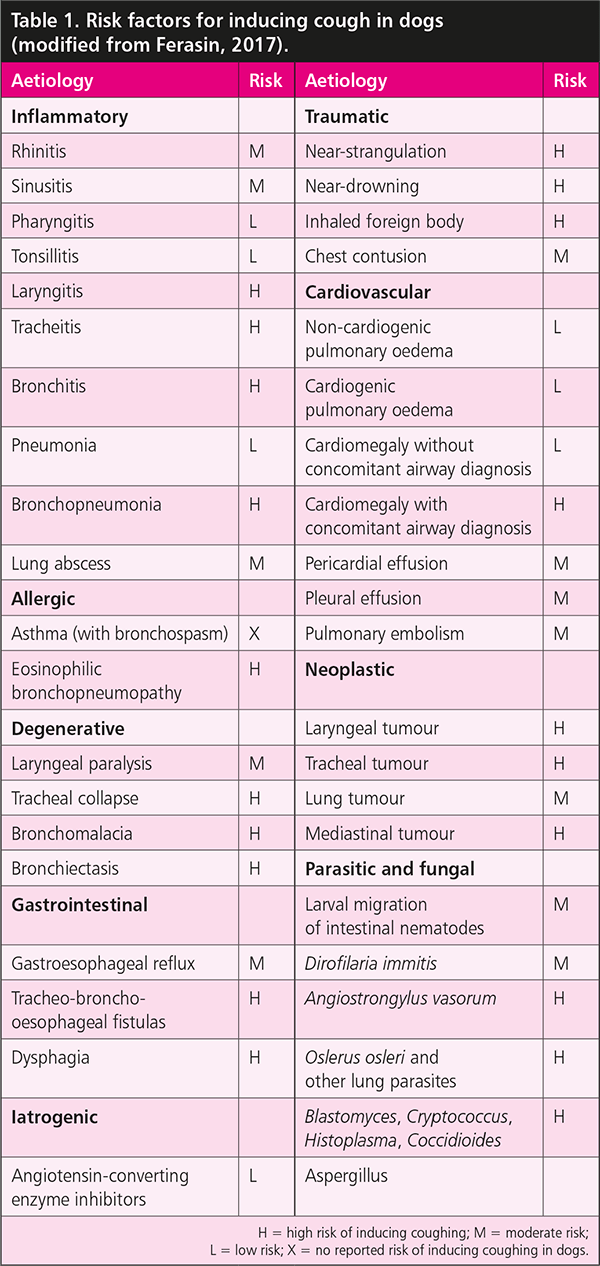 Table 1. Risk factors for inducing cough in dogs (modified from Ferasin, 2017).