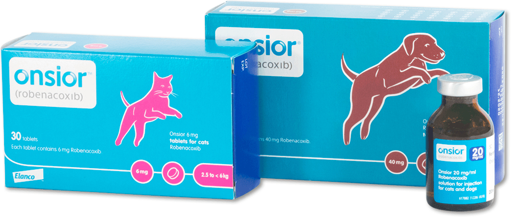What Is Onsior For Cats