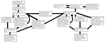 Figure 3. Recommended protocol for inhibition of the renin-angiotensin-aldosterone system in dogs with protein-losing nephropathy (PLN) using benazepril for an angiotensin-converting enzyme (ACE) inhibitor and telmisartan for an angiotensin-receptor blocker (ARB). ACE inhibitors and ARBs should only be used in dogs that are not dehydrated or hypovolaemic. † Urine protein:creatinine ratio (UPCR) varies significantly from day to day in dogs with PLN, especially at higher levels. Therefore the effect of treatment is best assessed by trends over time rather than small changes from sample to sample. It is suggested averaging two to three serial measurements, or usually more practical, measuring UPCR in two to three pooled samples. A UPCR between 0.5 and 2 in the presence of urinary tract infection or lower urinary tract inflammation may not represent glomerular loss and should be reassessed after these have been resolved. †† Tolerable limits are an increase in serum creatinine (sCr) of less than 30 per cent in IRIS chronic kidney disease (CKD) stage one or two and less than 10 per cent in IRIS CKD stage three. In IRIS stage four, no increase in sCr is tolerable. A serum potassium concentration of less than 6mmol/L is tolerable. Systolic blood pressure is tolerable at more than 120mmHg20. Based on recommendations from references18,20.